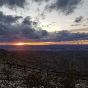 Meet your Posher, Randall